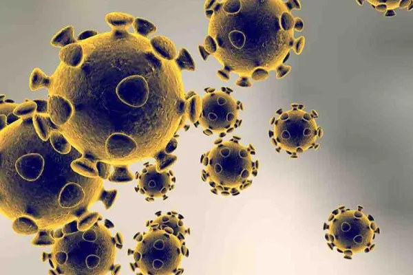coronavirus_1200x800.jpg