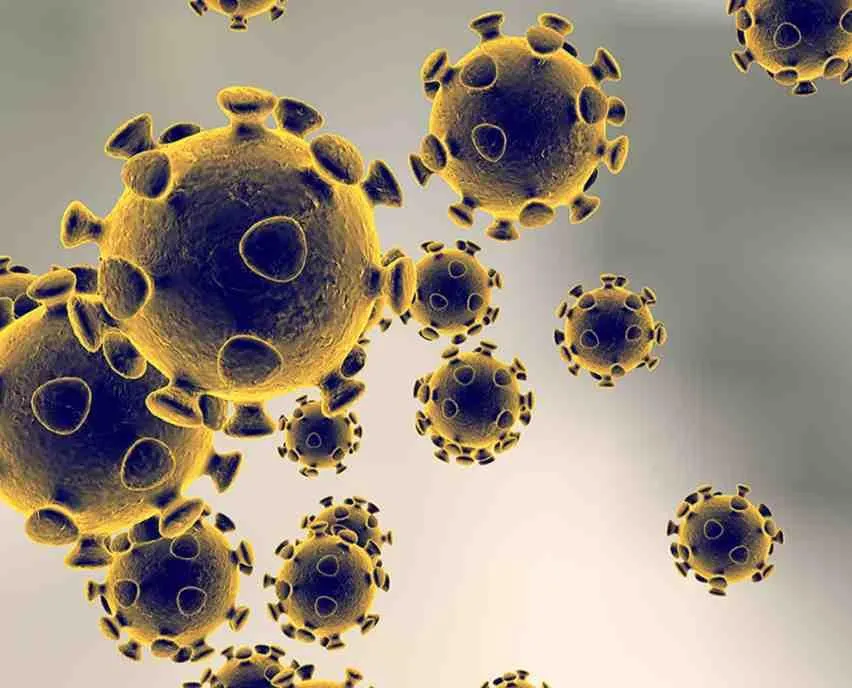coronavirus_1200x800.jpg